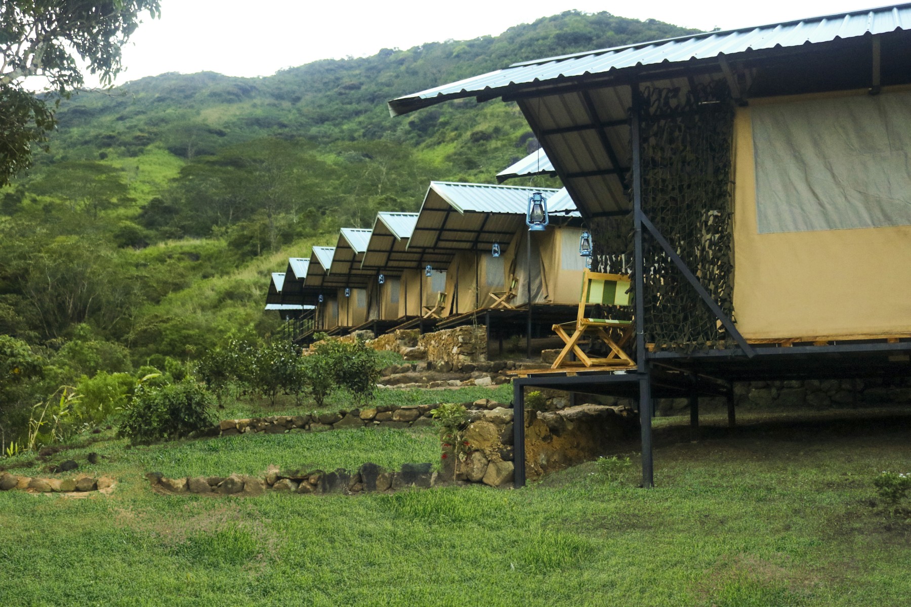 Wild Glamping Knuckles